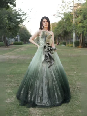 3D Detail Ball Gown ombré Shaded