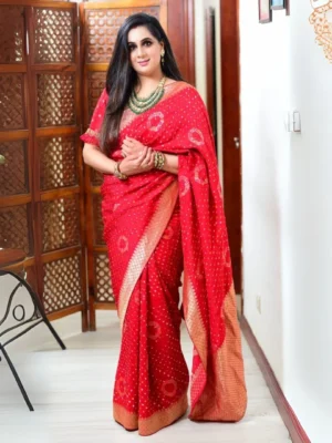 Designer Red Saree (Parul Garg)