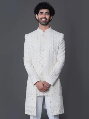 Royal Ivory Thread Embroidered Indo Western